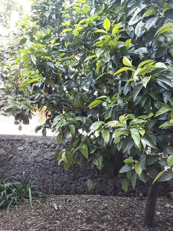 Holiday home Casa Delle Aci Villa Acireale